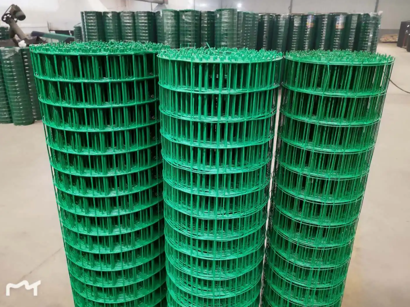 定西荷兰网